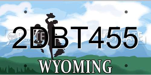 2DBT455 Wyoming License Plate