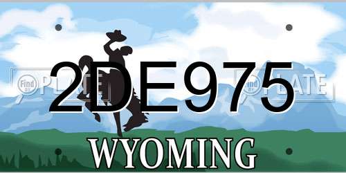 2DE975 Wyoming License Plate