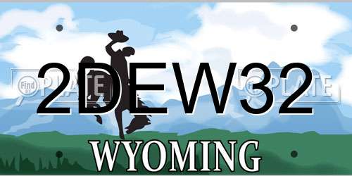 2DEW32 Wyoming License Plate