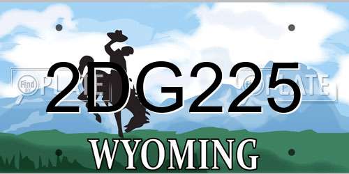 2DG225 Wyoming License Plate