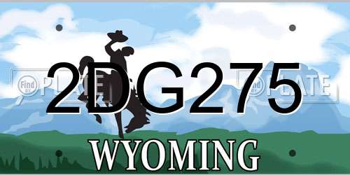 2DG275 Wyoming License Plate