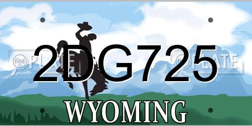 2DG725 Wyoming License Plate