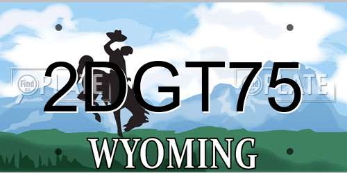 2DGT75 Wyoming License Plate