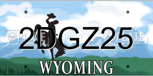2DGZ25 Wyoming License Plate