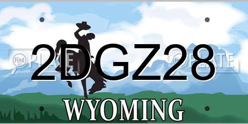 2DGZ28 Wyoming License Plate