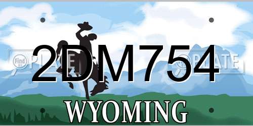2DM754 Wyoming License Plate