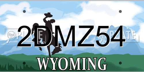 2DMZ54 Wyoming License Plate