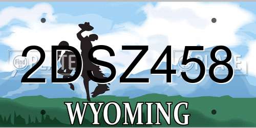 2DSZ458 Wyoming License Plate