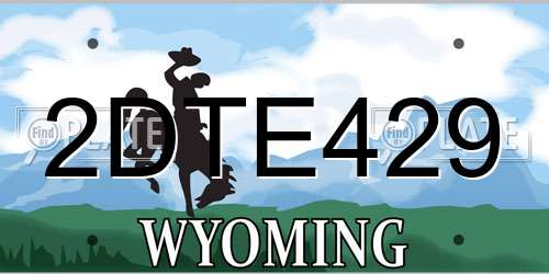 2DTE429 Wyoming License Plate