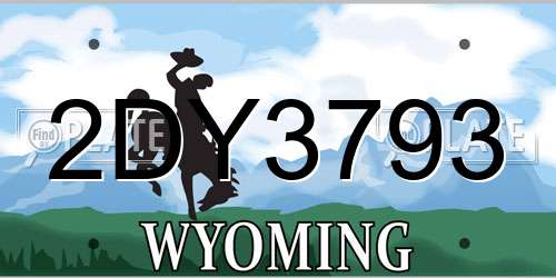 2DY3793 Wyoming License Plate