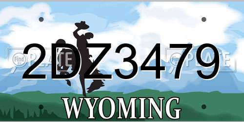 2DZ3479 Wyoming License Plate