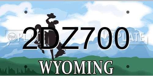 2DZ700 Wyoming License Plate