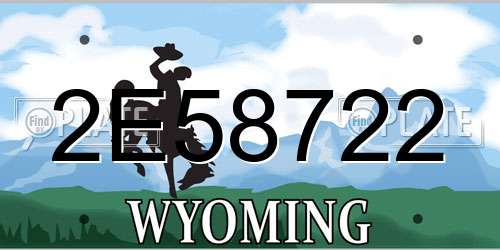 2E58722 Wyoming License Plate