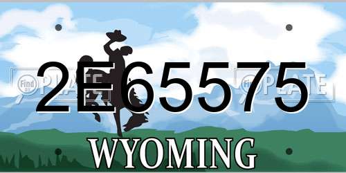 2E65575 Wyoming License Plate
