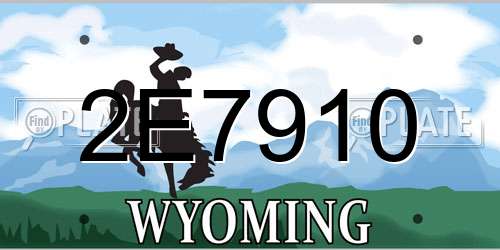 2E7910 Wyoming License Plate