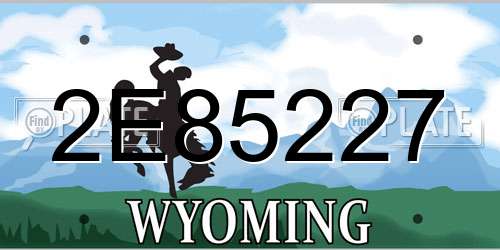 2E85227 Wyoming License Plate