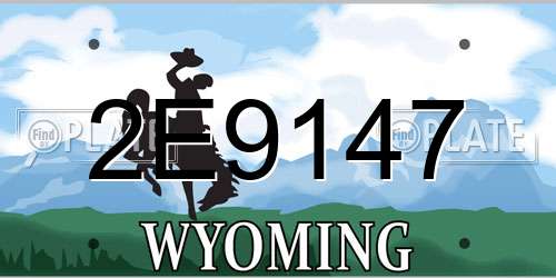 2E9147 Wyoming License Plate