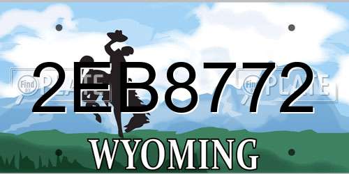 2EB8772 Wyoming License Plate