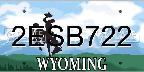 2ESB722 Wyoming License Plate