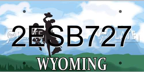 2ESB727 Wyoming License Plate
