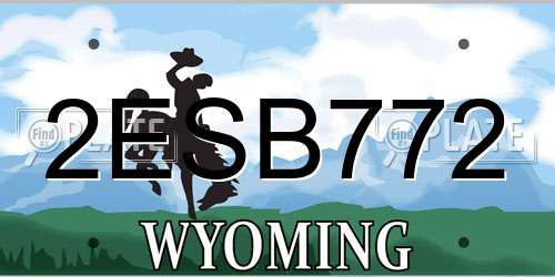 2ESB772 Wyoming License Plate