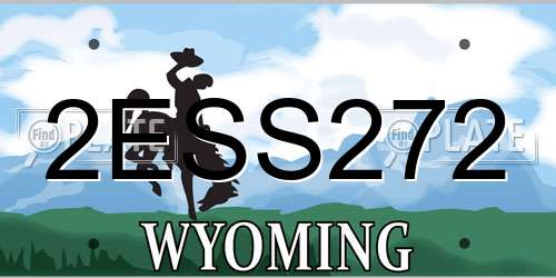 2ESS272 Wyoming License Plate