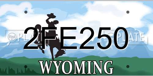 2FE250 Wyoming License Plate