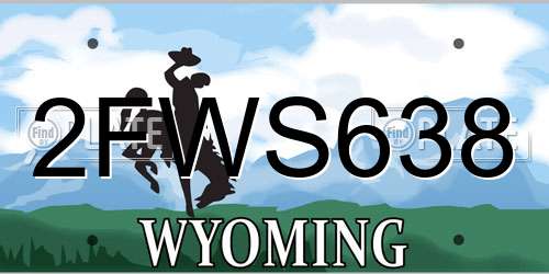 2FWS638 Wyoming License Plate