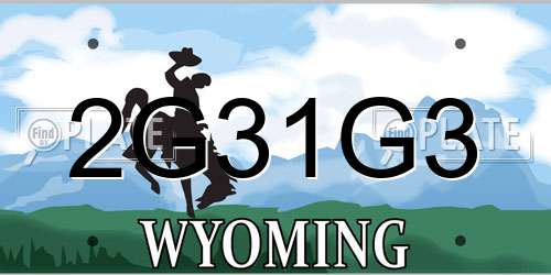 2G31G3 Wyoming License Plate