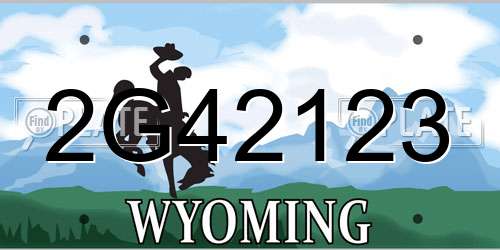 2G42123 Wyoming License Plate