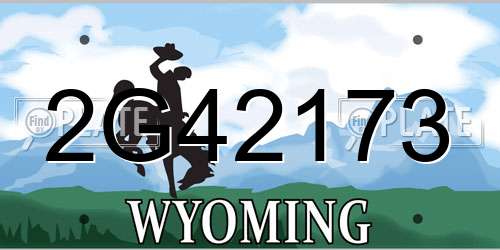 2G42173 Wyoming License Plate