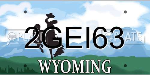 2GEI63 Wyoming License Plate