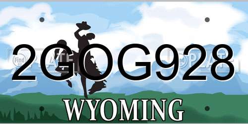 2GOG928 Wyoming License Plate