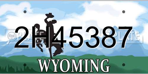 2H45387 Wyoming License Plate