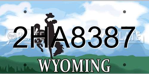 2HA8387 Wyoming License Plate