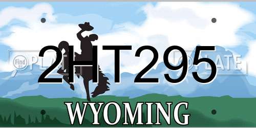 2HT295 Wyoming License Plate