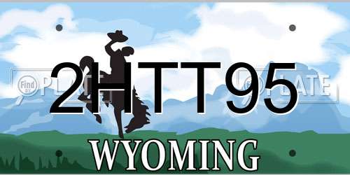 2HTT95 Wyoming License Plate