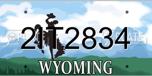 2IT2834 Wyoming License Plate