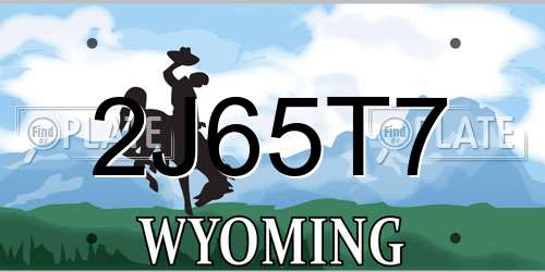 2J65T7 Wyoming License Plate