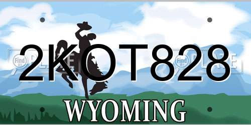 2KOT828 Wyoming License Plate