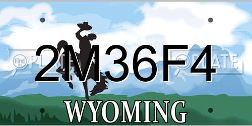 2M36F4 Wyoming License Plate