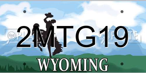 2MTG19 Wyoming License Plate