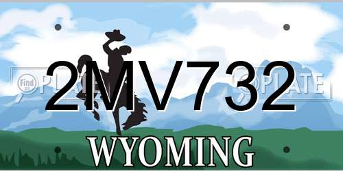 2MV732 Wyoming License Plate