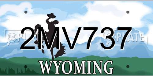 2MV737 Wyoming License Plate