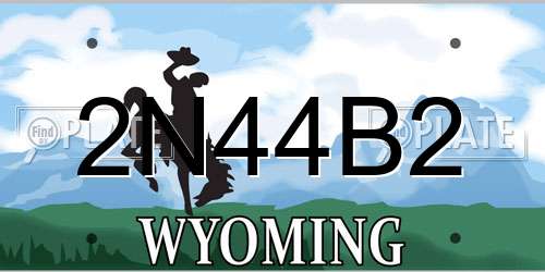 2N44B2 Wyoming License Plate