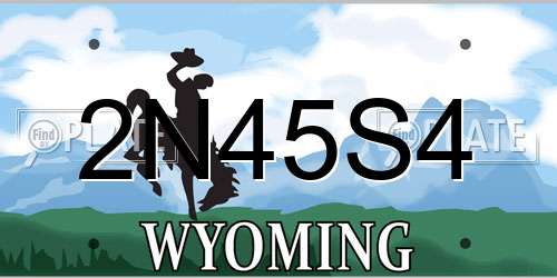 2N45S4 Wyoming License Plate