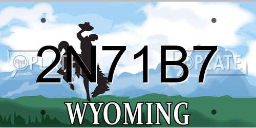2N71B7 Wyoming License Plate