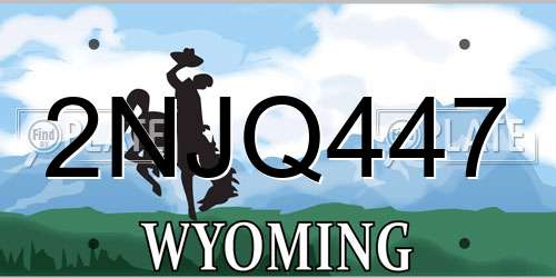 2NJQ447 Wyoming License Plate