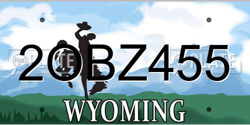 2OBZ455 Wyoming License Plate