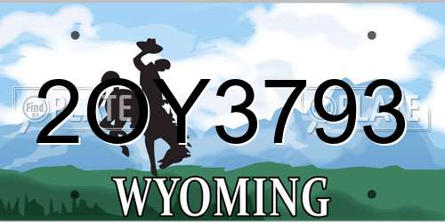 2OY3793 Wyoming License Plate